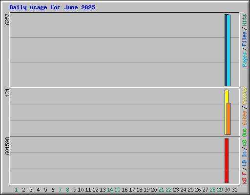 Daily usage for June 2025