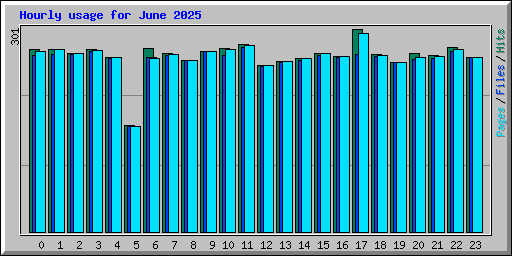 Hourly usage for June 2025
