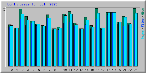 Hourly usage for July 2025