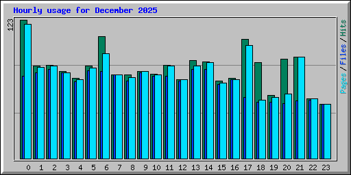 Hourly usage for December 2025