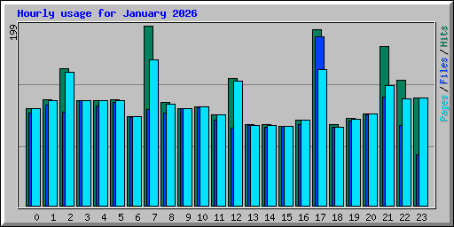 Hourly usage for January 2026